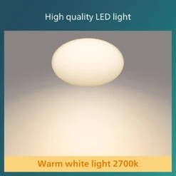 Philips Shan Indoor Motion Sensor Flush To Ceiling Light -Chic Household Items 1122561 R Z004A