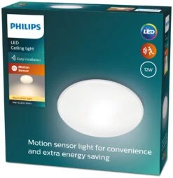 Philips Shan Indoor Motion Sensor Flush To Ceiling Light -Chic Household Items 1122561 R Z008A
