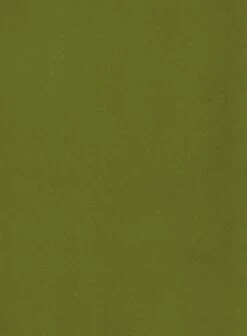 Habitat Alexis Velvet Cocktail Chair - Olive -Chic Household Items 1341287 R B001