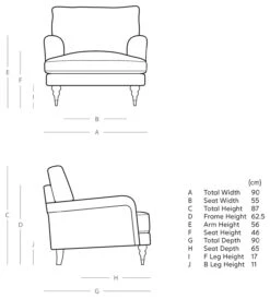 Swoon Charlbury Velvet Armchair - Biscuit -Chic Household Items 2003816 R E001