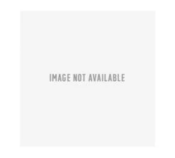 Habitat Floral Ripple Set Of 4 Mugs -Chic Household Items 4544421 R Z005A