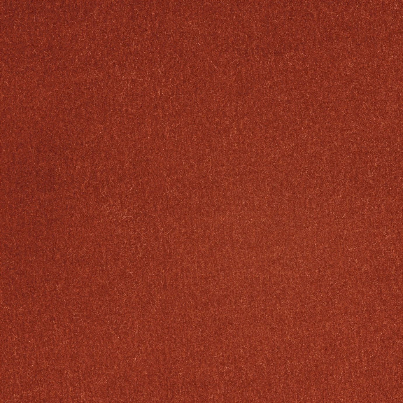 Habitat Fenner Velvet Fabric Armchair - Orange 3 Habitat Fenner Velvet Fabric Armchair - Orange - Image 3