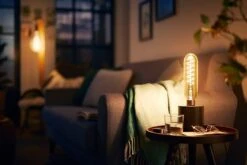 Philips LED Filament E27 6.5W (40W) Dim Giant Bulb - Gold -Chic Household Items 9193798 R Z003A