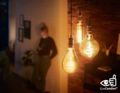 Philips LED Filament E27 6.5W (40W) Dim Giant Bulb - Gold -Chic Household Items 9193798 R Z004A