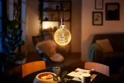 Philips LED Filament E27 6.5W (40W) Dim Giant Bulb - Gold -Chic Household Items 9339552 R Z003A