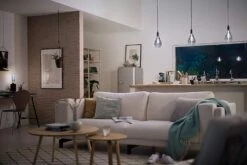 Philips LED Filament E27 6.5W (25W) Dim Giant Bulb - Smoky -Chic Household Items 9420090 R Z003A