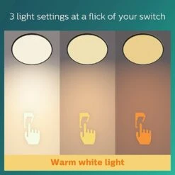 Philips Super Slim Flush To Ceiling Light - Black -Chic Household Items 9454956 R Z006A