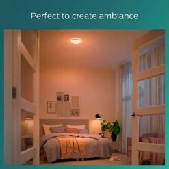 Philips Super Slim Flush To Ceiling Light - Black -Chic Household Items 9454956 R Z007A